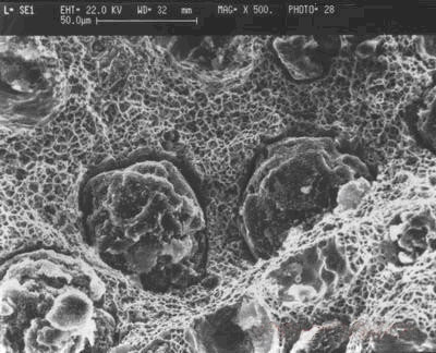 調質處理球墨鑄鐵拉伸試樣斷口微觀形貌 圖4.jpg