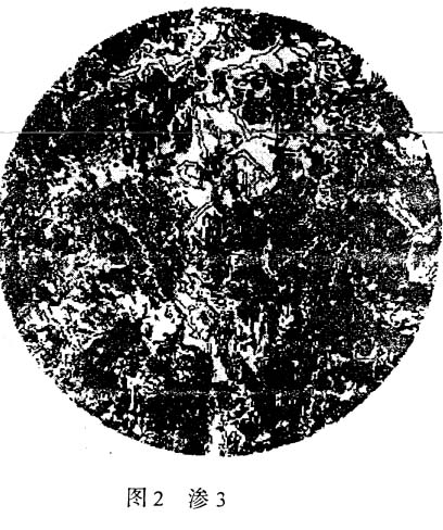 B3.jpg