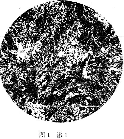 B1.jpg