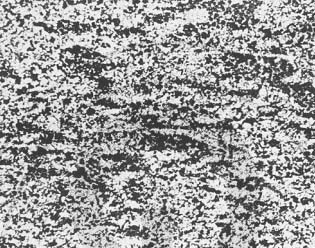 33 w+Fwּ龧.jpg