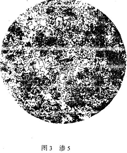 B5.jpg