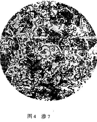 B7.jpg