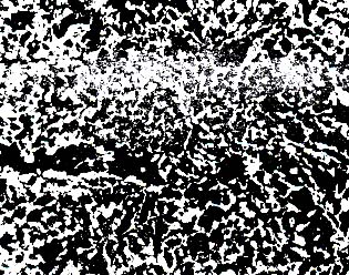 55 w+FwδD(zhun)׃B(ti).jpg