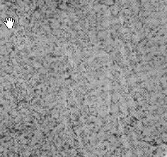 25̖(ho)˻x100.jpg