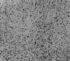 35̖(ho)˻x100.jpg