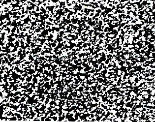 11 w+Fw.jpg