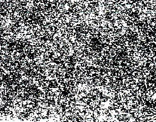 11 ػw.jpg