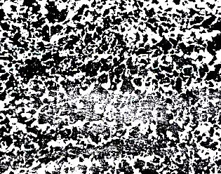44 w+FwδD׃B.jpg