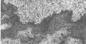 2 20110615055930343.jpg