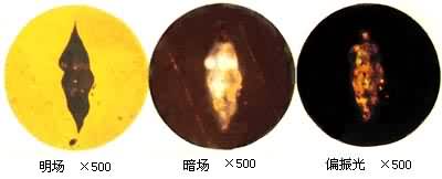 ʈD5.jpg