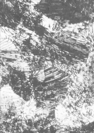 T8䓵ĽM.jpg