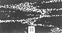 D11̶ȲrW̼ ×500
