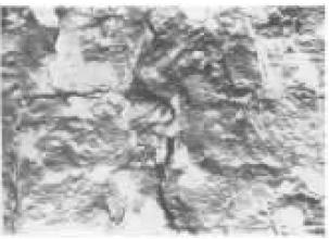 D2    TEI    4000×.jpg