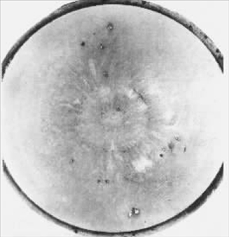 ZG2Cr13(T˻)ͱM.jpg