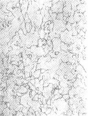 D C-4.jpg