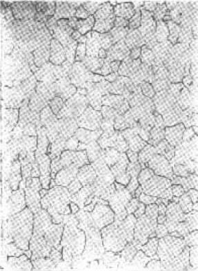 D C-5.jpg