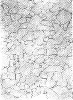 D C-6.jpg