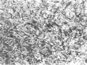 D1  500×.jpg