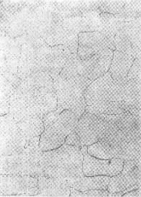 D B-5.jpg
