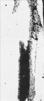 1Cr18Ni9(܈ƑB)ǽيAs.jpg