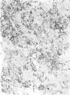 D C-9.jpg