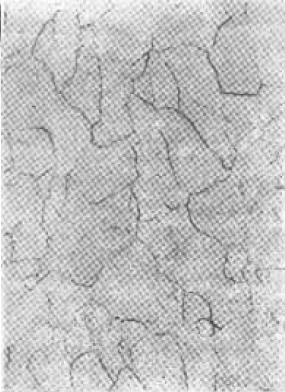 D B-6.jpg