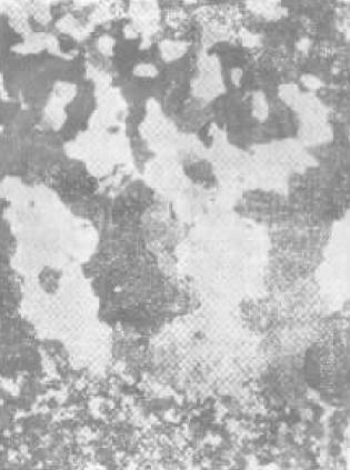 D C-13.jpg