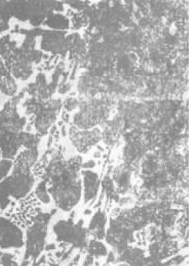 D E-10.jpg