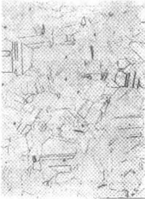 D C-10.jpg