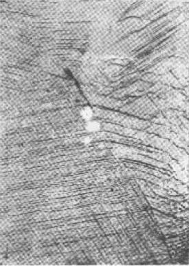 D B-2.jpg