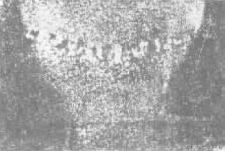 D C-12.jpg