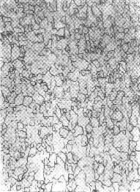 D C-3.jpg