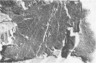 D4  TEI 4000X.jpg