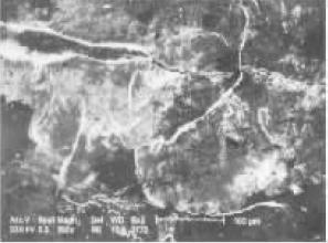 D6.jpg