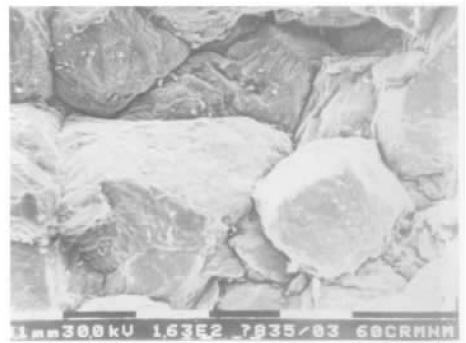 D5  ^ؾò.jpg