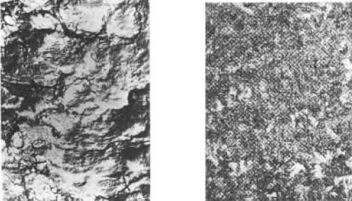 D2   TEl   5000×    D3   0MI   500×.jpg