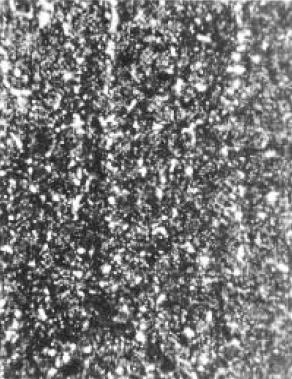 D2(500×).jpg