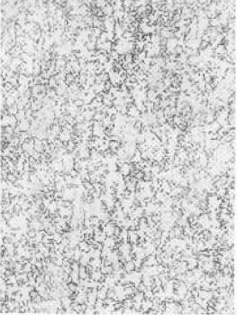 65Mn˻D.jpg