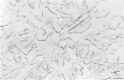 ؐw20CrMnTi(20min)ĽD3.jpg