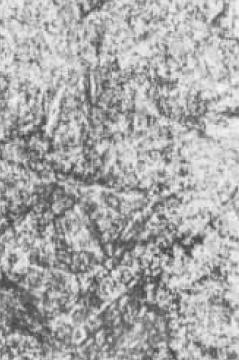 D3(500×).jpg