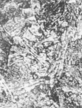 D1(500×).jpg
