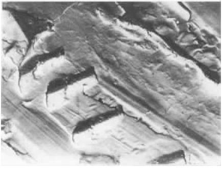 D4   TEl  10000×.jpg