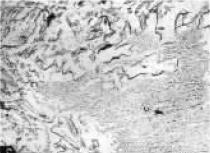 D1  6290×.jpg