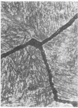 D1(400×).jpg