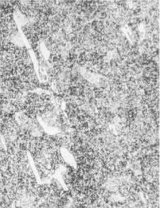 Cr12MoV(D2)˻D.jpg