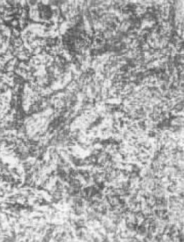 D2(500×).jpg