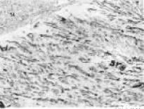 D2 6290×.jpg