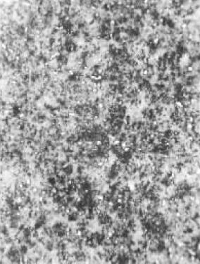 D3(500×).jpg