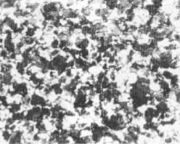 D1(500×).jpg