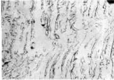 D46290×.jpg